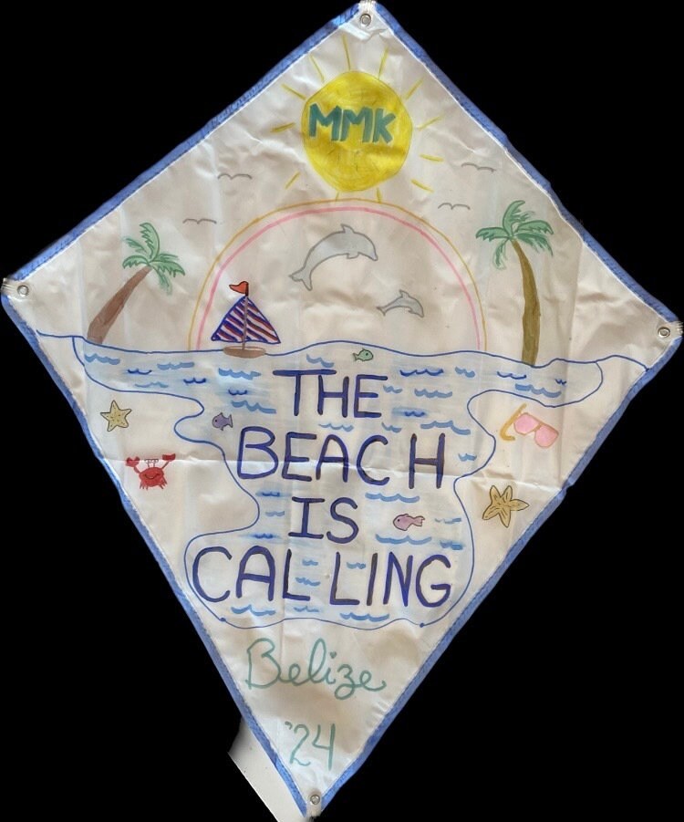 Personalized Kites for All Occasions - Etsy