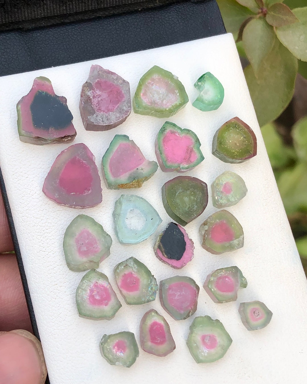 67-carats-natural-tourmaline-watermelons-slices-originated-from