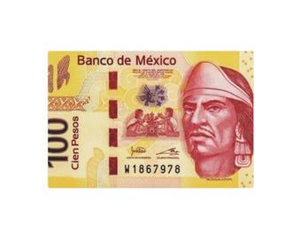 Mexican Folk Art Home Decor Peso Metal Wall Art Sign 30 x 20"