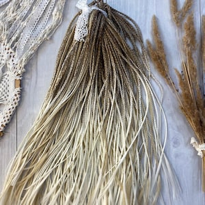 May include: A bundle of ombre synthetic dreadlocks, transitioning from brown to blonde. The dreadlocks are tied with a white lace ribbon. A white lace dreamcatcher and dried plants are also visible.