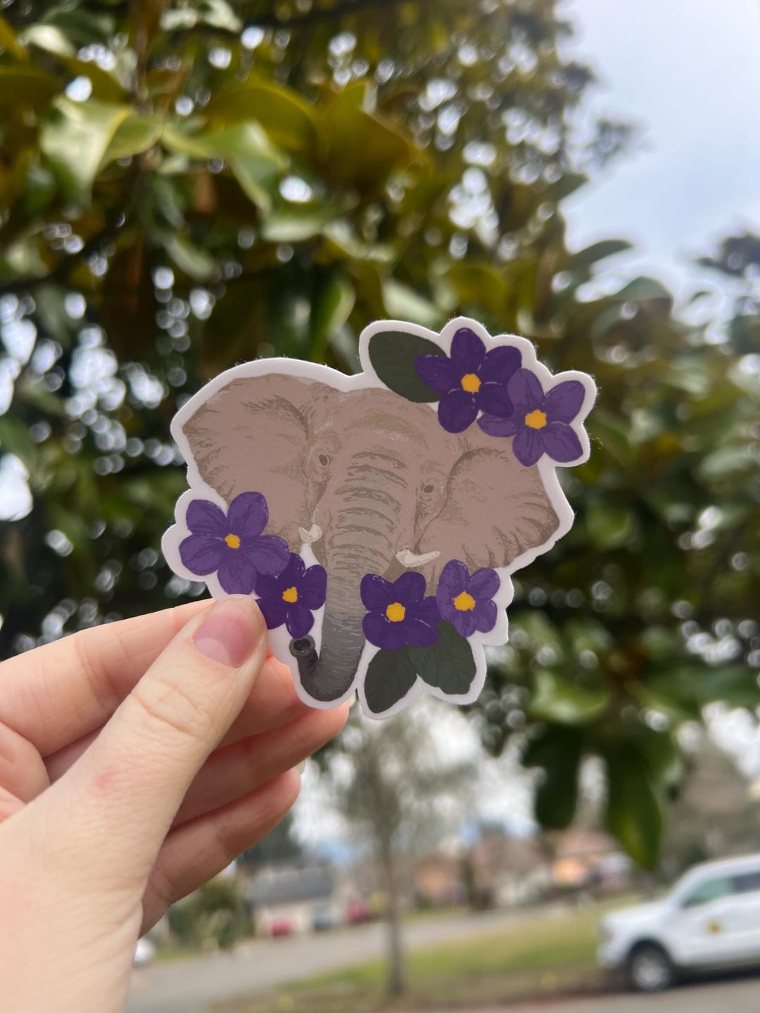 African Bush Elephant and African Violets / Waterproof Vinyl Sticker - Etsy