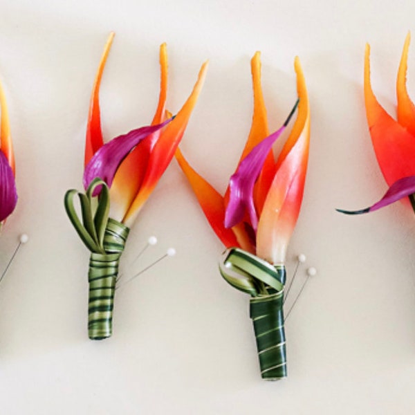 Bird of Paradise Boutonniere