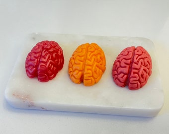 Brain Soaps (3 Pack)