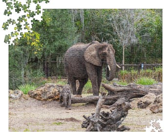 Animal Kingdom Corra/Baby Elephant Puzzle