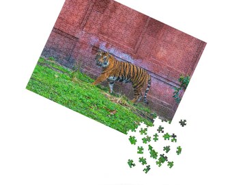 Animal Kingdom Tiger Puzzle