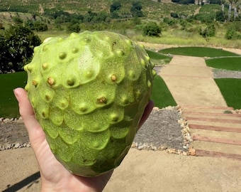 3 Lbs Cherimoya Fruit Box: Organic, Non-GMO, Local San Diego