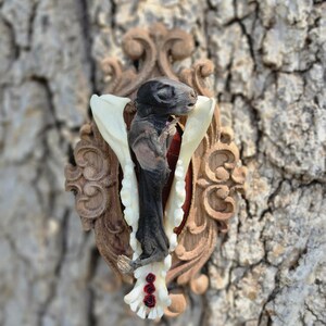 May include: A taxidermy squirrel specimen mounted on a dark red velvet backing within an ornate, carved wooden frame. The squirrel is positioned vertically against two white animal jawbones, with three small red rose accents at the base.