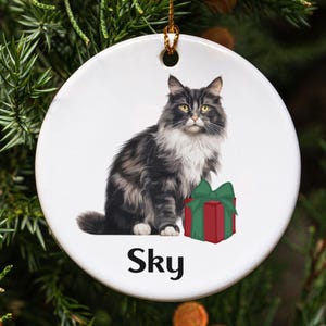 May include: White ceramic Christmas ornament featuring a fluffy gray and white cat with yellow eyes, a red and green gift, and the name "Sky" in black text. The ornament hangs from a gold string.