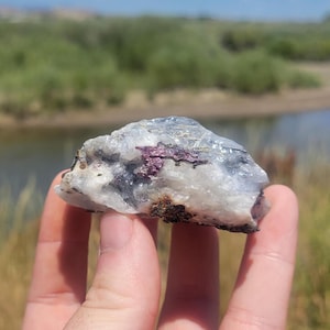May include: A close-up of a natural mineral specimen. The rock is primarily white and gray with a cluster of deep pink crystals. The specimen is held in a hand against a blurred outdoor background.