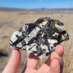 Black Tourmaline in Quartz Specimen: Natural Crystal from Brazil