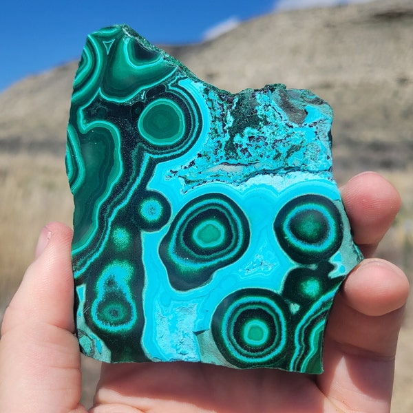 Stunning Polished Chrysocolla and Malachite - Natural Concentric Growth Patterns - Mineral Specimen from China