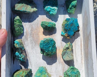 Wholesale Lot - Chrysocolla with Malachite on Matrix Lot with Some Quartz - Natural Mineral Lot from Elko County Nevada - 12 Pieces