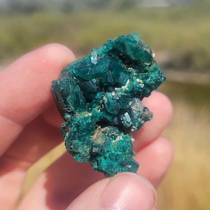 May include: A cluster of vibrant, emerald-green crystals. The mineral specimen has a rough, textured surface with multiple crystalline structures. The crystals are a deep, saturated green color, with hints of lighter green and white. The background is blurred.