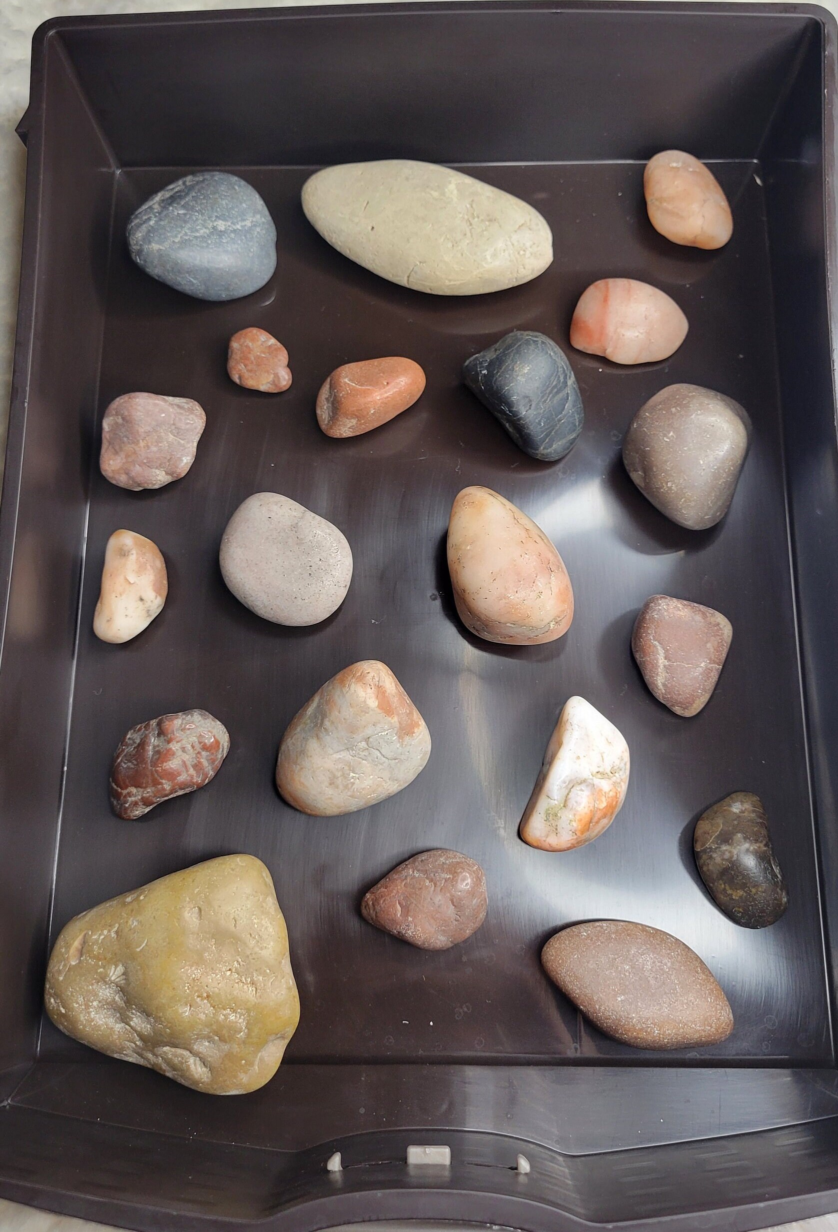 20 Piece Wholesale Lot of Assorted Smooth Quartzite Gastroliths from The Morrison Formation - South Dakota - Natural