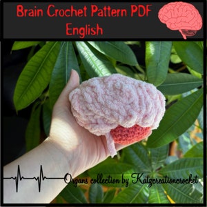 Brain Crochet Pattern PDF Anatomy