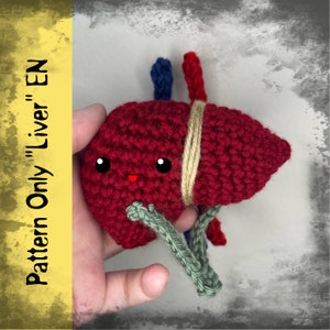 May include: A crocheted plush toy shaped like a liver with a cute cartoon face. The liver is red with a tan band around it and green and blue crocheted tubes coming out of it. The toy is being held in a hand. The text "Pattern Only "Liver" EN" is on the left side of the image.