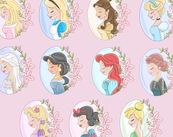 Camiseta Comfort Colors Disney Princess, Camiseta Disneyworld, Ariel Aurora Elsa Blancanieves Jazmín Bella Rapunzel Anna Alicia, Camiseta Cenicienta,