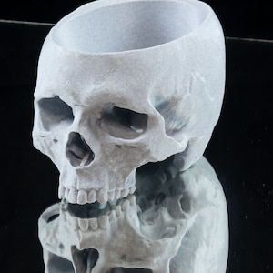 Skull Planter