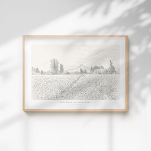 Puede incluir: Dibujo a lápiz en blanco y negro enmarcado de los campos de lavanda de Hood River. La obra de arte representa un campo con un camino que conduce a una cordillera, árboles y un cielo nublado. El texto "HOOD RIVER LAVENDER FIELDS" está en la parte inferior.