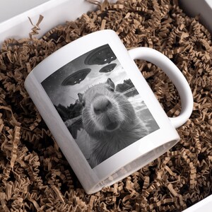 Pu&ograve; includere: Una tazza in ceramica bianca con un'immagine in bianco e nero di un capibara con tre UFO sullo sfondo. La tazza ha un manico nero.