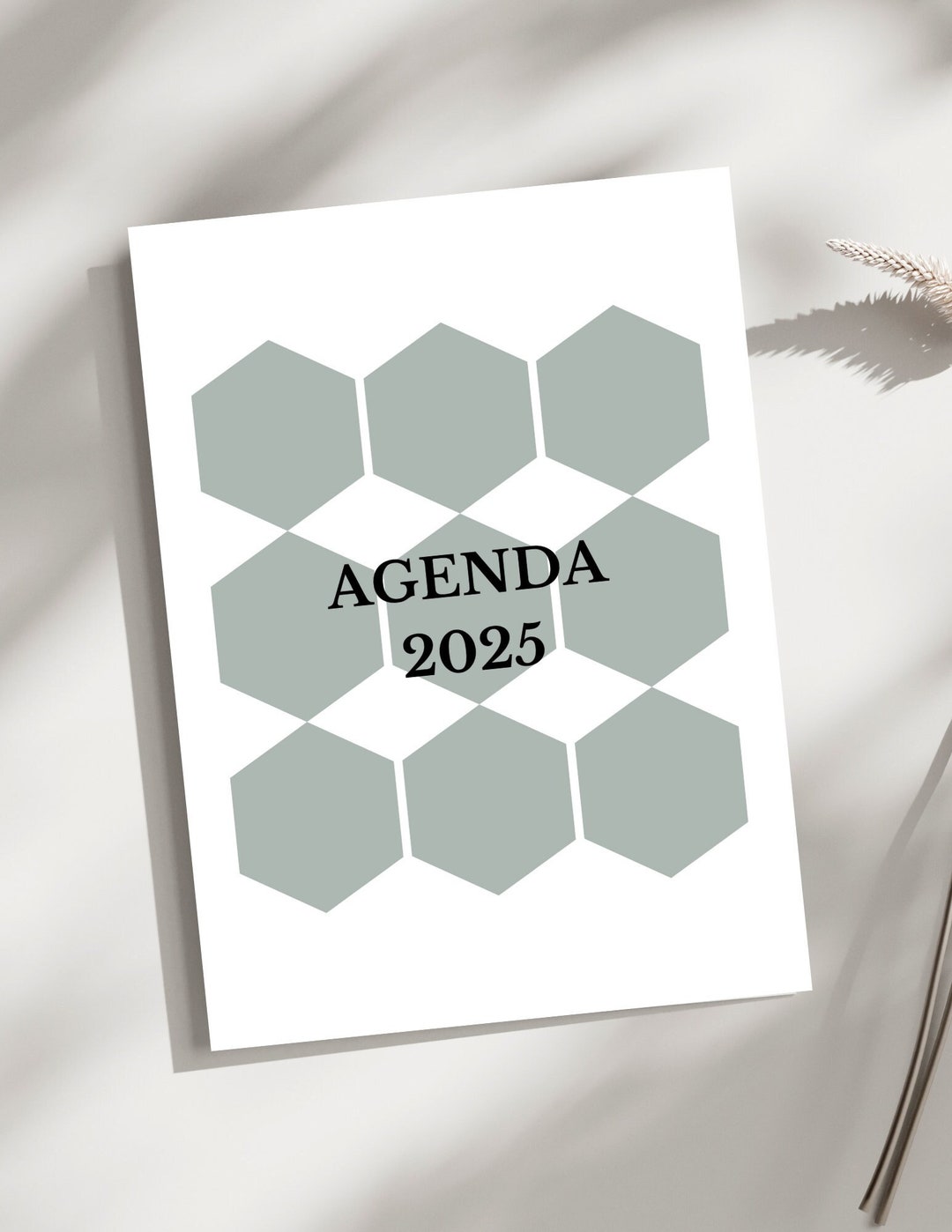 Annual 2025 Agenda Plus Savings Challenges and Cleaning Routines. Blue ...