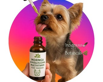 Organic Moringa Tincture for Yorkies, Hypoglycemia & Multivitamin, USA Made * Moringa Drops for Yorkies and Toy Dogs * Pet Supplements *