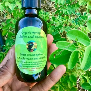 Op de afbeelding: Een donkerbruine glazen fles met een druppelaar, met het label "Organic Moringa Oleifera Leaf Tincture!" De fles staat voor een groene, bladerrijke plant. Het label vermeldt ook "Boost immune system. A-Z multi vitamin and minerals. Use: Serving size 1ml once or twice daily. Ingredients: distilled vodka: 100% Moringa Oleifera. leaves, stim. Not FDA approved to treat or diagnose any disease. 2oz"