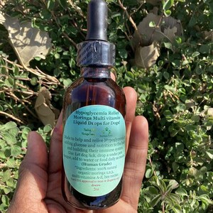 May include: A brown glass bottle with a black dropper, labeled "Hypoglycemia Relief Moringa Multi vitamin Liquid Drops for Dogs!" The label is light blue with white text. The bottle is held in a hand, with green foliage in the background.