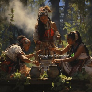May include: An artistic depiction of three women in traditional attire, possibly indigenous, preparing a concoction outdoors. They are gathered around a large pot, with smoke rising, surrounded by greenery. The image includes the text "Indigenous Botanicals".