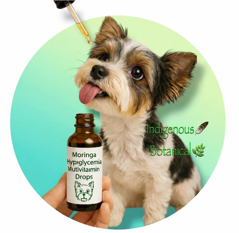 Organic Moringa Tincture for Yorkies, Hypoglycemia & Multivitamin Support * Moringa Drops for Yorkies and Toy Dogs * Pet Supplements image 1