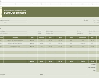 Expense Report Excel Template | Business & Travel Tracker | Editable Spreadsheet