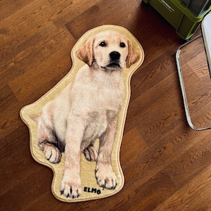 Custom Pet Portrait Rug, Personalized Rug for Dog, Pet Name Gift Rug, Cat Rug,Pet Shaped Rug,Pet Memorial Gift,Handmade Rug,Valentine's Gift