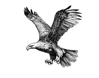 Eagle Png, Eagle Clipart, Hand Drawn Eagle Png, Eagle Sublimation, Watercolor Eagle Png, Sublimation Designs Downloads, Digital Download