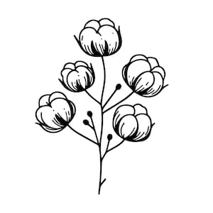 Cotton SVG, Cotton clipart, Cotton boll clipart, Cotton boll svg, Cotton svg cut file, Rustic cotton svg, Cotton flower Svg, Wedding Cotton