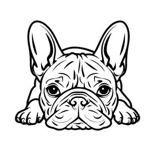 Peut inclure: Dessin au trait noir et blanc d'un bouledogue français. Le chien est représenté couché, avec sa tête et ses pattes avant visibles. L'image met en valeur les traits distinctifs du chien, notamment ses grandes oreilles.
