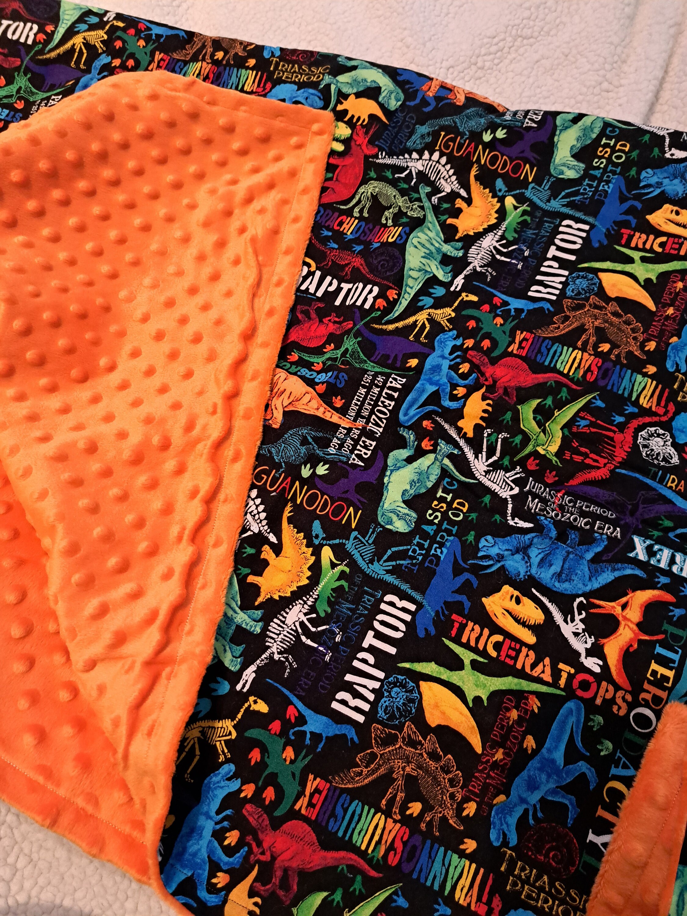 Baby Blanketdinosaur Minky Blanket for Babiesdinosaur Etsy