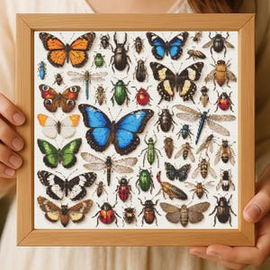 Puede incluir: Una impresión enmarcada que presenta una colección detallada de varios insectos, incluyendo mariposas, escarabajos y libélulas. Los insectos están representados en un estilo pixelado, mostrando una gama de colores como naranja, azul, verde y negro. El marco de madera añade un toque natural.