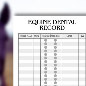 Suivi des dossiers dentaires équins, suivi des soins des chevaux, dossier médical du cheval, journal équin, pension pour chevaux