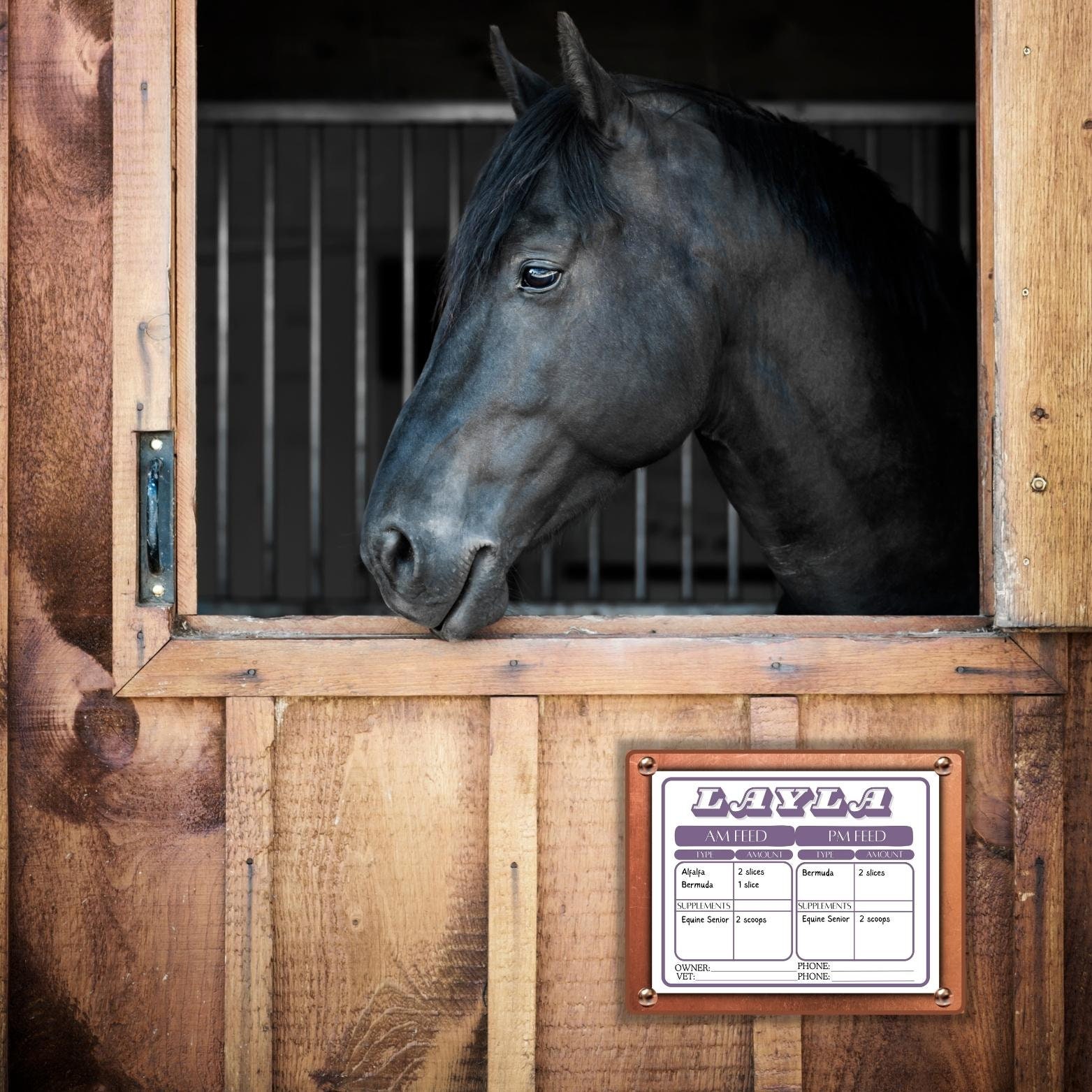 Horse Stall Card Canva Template, Horse Boarding, Horse Health Care - Etsy