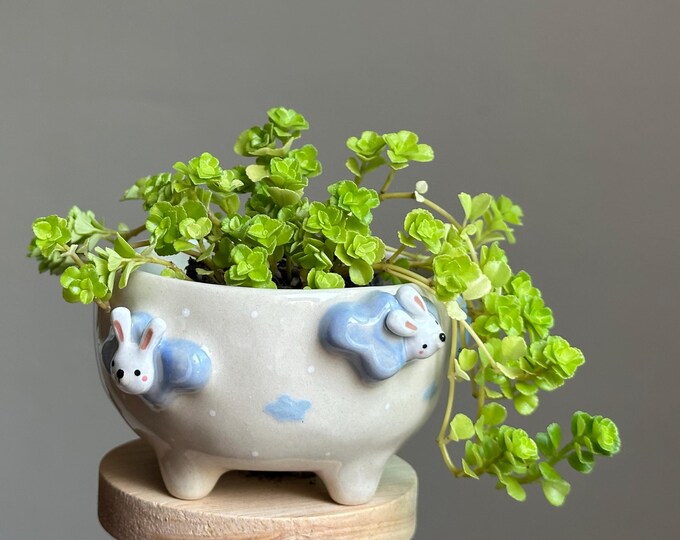 Decorative Planters/rabbit in the Clouds Ceramic Planter/rabbit Planter ...