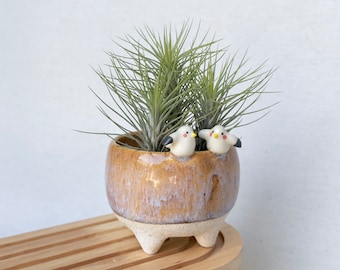 Bird plant pot/Cute bird ceramic plant pot/Bird  planter/Handmade ceramic plant pot/plant pot with birds