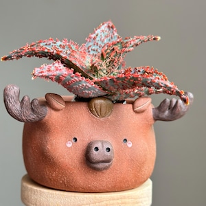 Ręcznie wykonana ceramiczna doniczka w kształcie twarzy łosia, doniczka w kształcie zwierzęcia, ceramiczna doniczka w kształcie twarzy zwierzęcia, doniczka w kształcie łosia, wyjątkowa ceramiczna doniczka dla miłośników natury