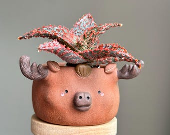 Op de afbeelding: Een grillige bruine keramische plantenbak in de vorm van een eland, met geweien en een snuit. De plantenbak bevat een vetplant met rode en groene stekelige bladeren. De plantenbak staat op een houten standaard.
