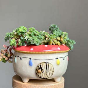 May include: A quirky ceramic plant pot with a red and white polka-dot lid and a small door. It's filled with a green succulent plant. The pot features a string of colourful lights painted on the front.