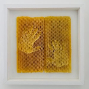 Sporen van onschuld - Kunstwerk gemaakt van echte honingraten - Handgemaakt op MDF-plaat, natuurlijke kunst, honingraat, bij, kleur: natuurlijk