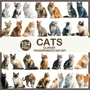 134 PNG Grafiken (Digitaler Download, 300 DPI)