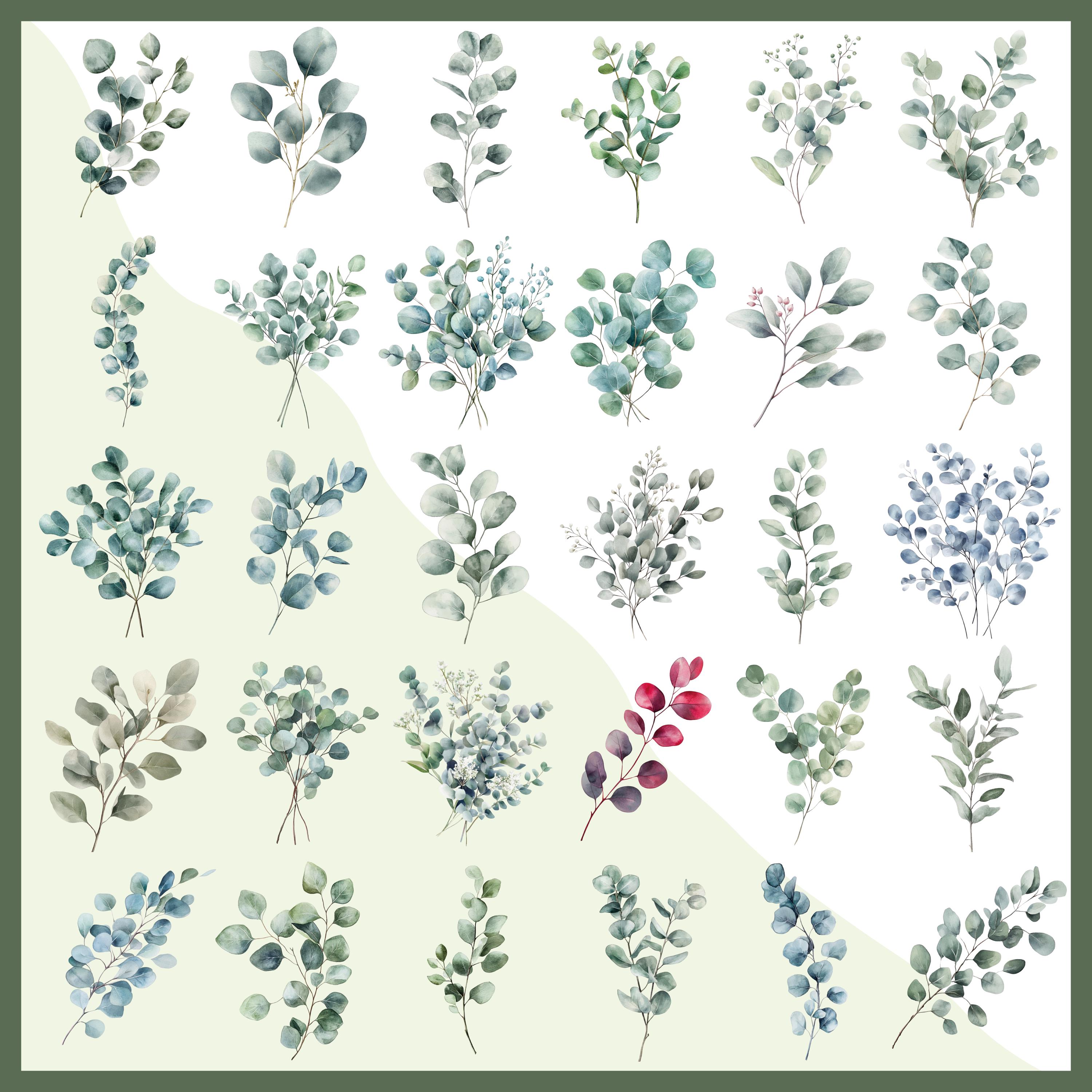 Eucalyptus Watercolor Clipart Bundle | Floral Wreaths, Greenery ...