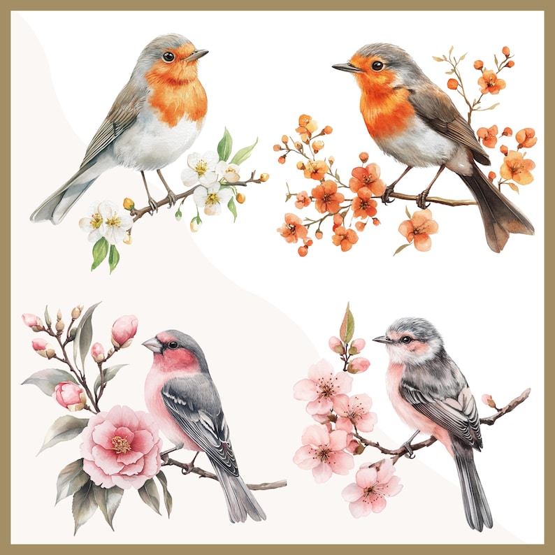 May include: Watercolor illustration featuring four birds perched on flowering branches. The birds have gray, orange, and pink plumage. The flowers are white, orange, and pink. The artwork has a soft, natural aesthetic.