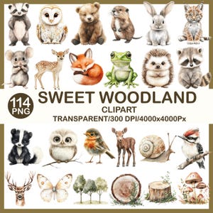 May include: Watercolor clipart set featuring various woodland animals such as a raccoon, owl, bear, rabbit, fox, and deer. The text "SWEET WOODLAND CLIPART" is displayed, along with "114 PNG" and technical details.
