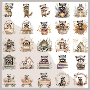 May include: A selection of watercolour illustrations depicting raccoons in different scenes. Some raccoons are holding flowers, sitting in baskets with fruit, or near miniature houses. The illustrations have a soft, whimsical style with autumnal colours.